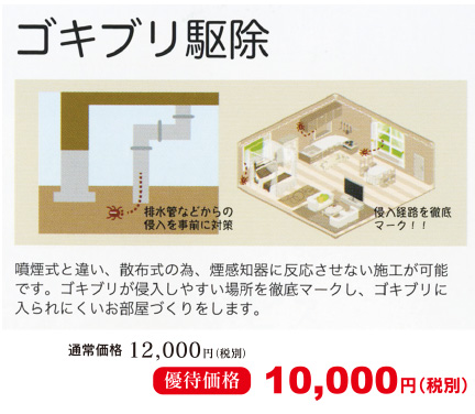 ゴキブリ駆除